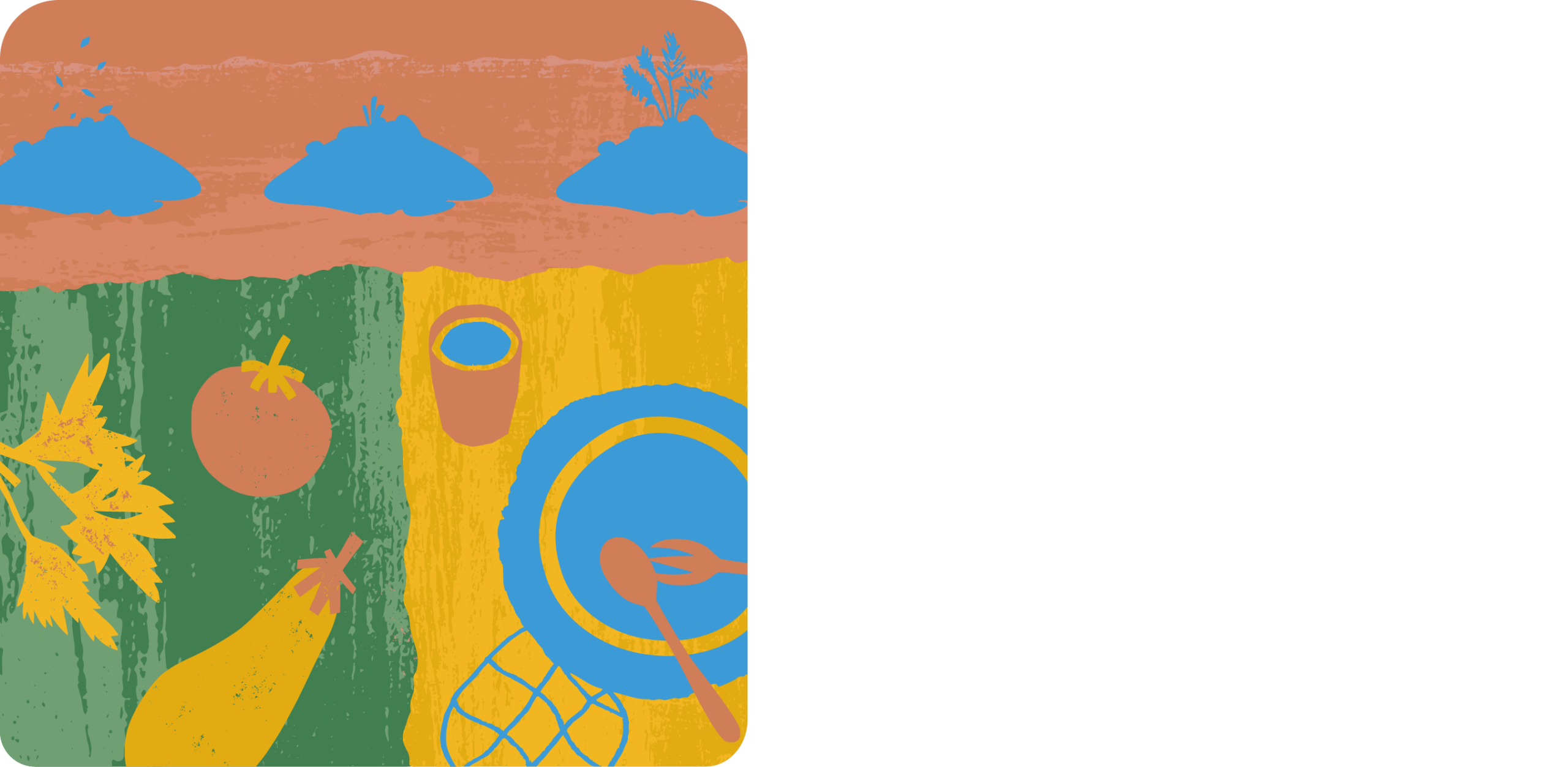 RNFP